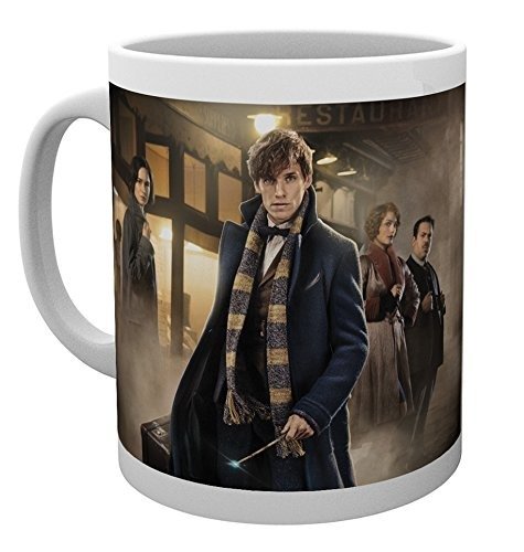 Cover for 1 · Hp Fantastic Beasts Group Stand Mug (MERCH)