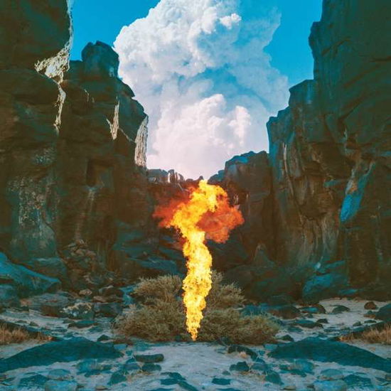 Cover for Bonobo · Migration (LP) [Standard edition] (2017)