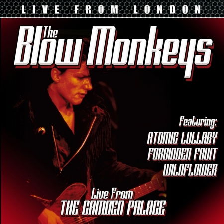 Live from London - The Blow Monkeys - Musik - THE STORE FOR MUSIC - 5055544226145 - 2. August 2019