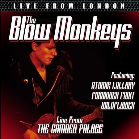 Cover for The Blow Monkeys · Live from London (CD) (2019)
