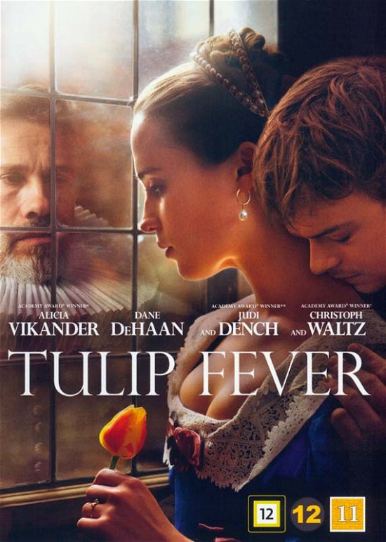 Cover for Alicia Vikander / Dane DeHaan / Judi Dench / Christoph Waltz · Tulip Fever (DVD) (2017)