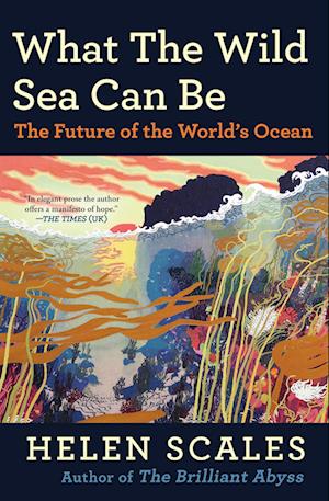 Cover for Scales Helen · What The Wild Sea Can Be (Book) (2025)