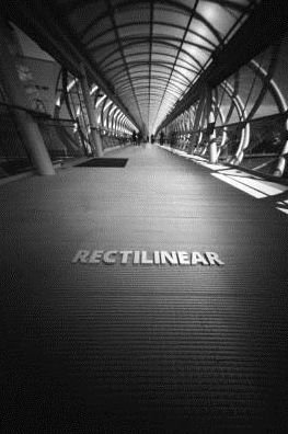 Rectilinear - T E Schlemmer - Bøger - Blurb - 9781367452145 - 18. juli 2016