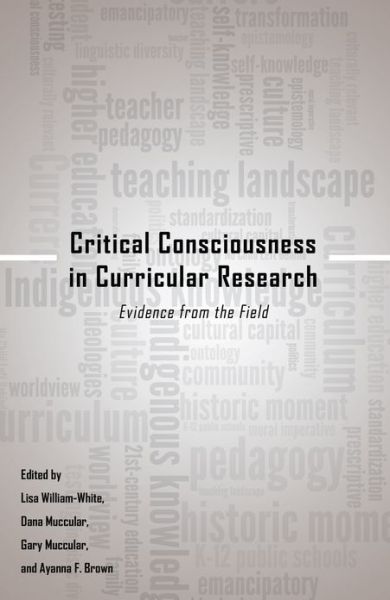 Cover for Critical Consciousness in Curricular Research: Evidence from the Field - Critical Qualitative Research (Paperback Book) [New edition] (2013)