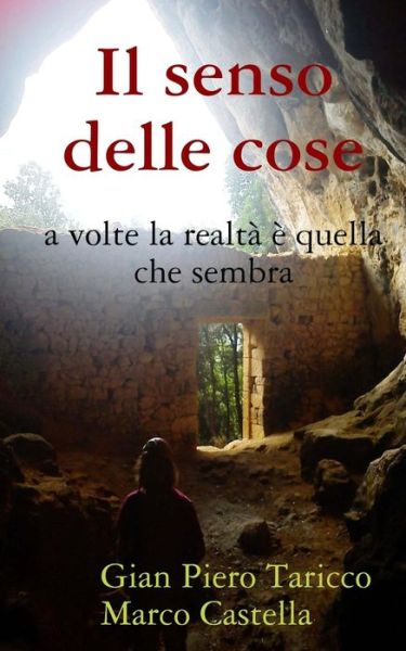 Cover for Gian Piero Taricco · Il Senso Delle Cose: a Volte La Realta' E' Quella Che Sembra (Paperback Book) (2013)