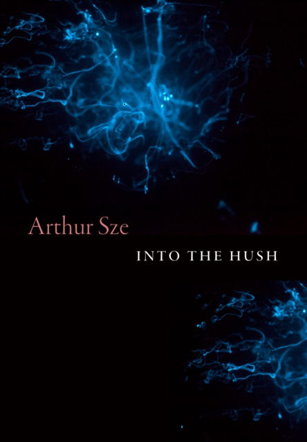 Cover for Arthur Sze · Into the Hush (Paperback Bog) (2025)