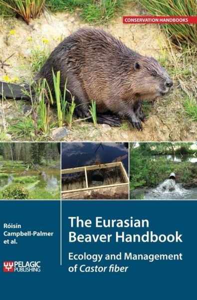 Cover for Roisin Campbell-Palmer · The Eurasian Beaver Handbook: Ecology and Management of Castor fiber - Conservation Handbooks (Innbunden bok) (2016)