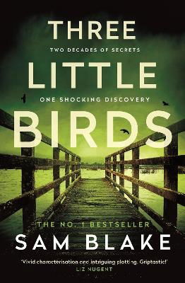 Sam Blake · Three Little Birds (Paperback Book) (2024)