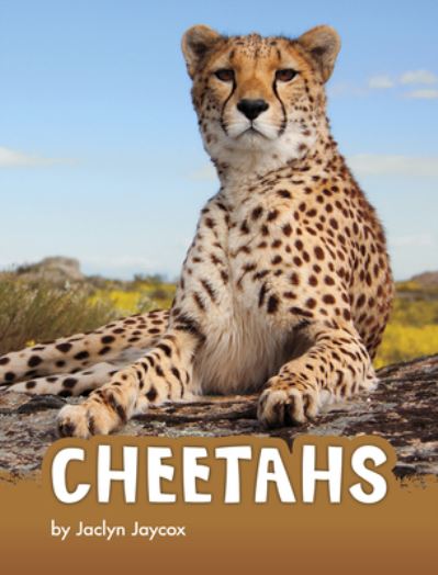 Cover for Jaclyn Jaycox · Cheetahs (Hardcover Book) (2020)