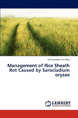 Cover for Iruthayarajan Yesu Raja · Management of Rice Sheath Rot Caused by  Sarocladium Oryzae (Paperback Bog) (2013)