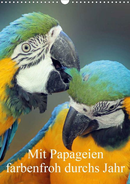 Cover for Bönner · Mit Papageien farbenfroh durchs (Book)
