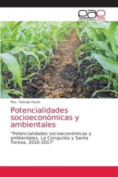 Cover for Msc Pamela Pavon · Potencialidades socioeconomicas y ambientales (Taschenbuch) (2021)