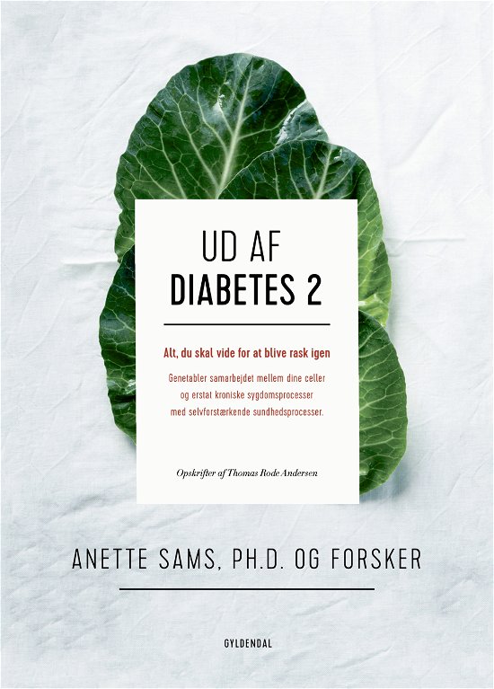 Cover for Anette Sams; Thomas Rode Andersen · Ud af diabetes 2 (Inbunden Bok) [1:a utgåva] (2018)