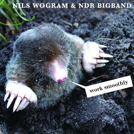 Cover for Wogram,nils &amp; Ndr Bigband · Work Smoothly (CD) (2022)