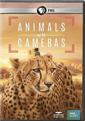 Nature: Animals with Cameras (DVD) (2018)