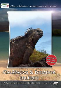 Cover for Colibri Naturfilme · Galapagos &amp; Ecuador Erleben (DVD) (2007)