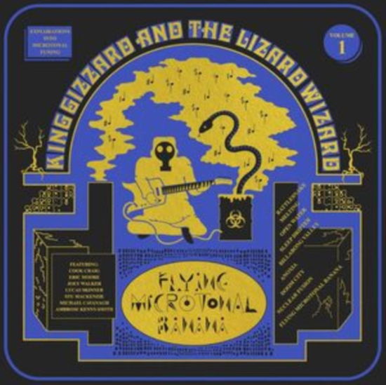 Cover for King Gizzard &amp; the Lizard Wizard · Flying Microtonal Banana (LP) (2025)