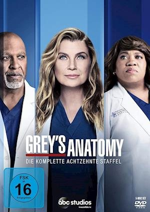 Cover for Greys Anatomy - Staffel 18 (DVD) (2022)