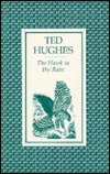 Cover for Ted Hughes · The Hawk in the Rain (Pocketbok) [Main edition] (2003)