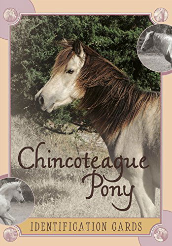 Cover for Lois Szymanski · Chincoteague Pony Identification Cards (Book pack) (2014)