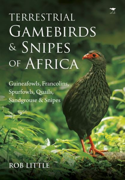 Cover for Rob Little · Terrestrial gamebirds &amp; snipes of Africa: Guineafowls, Francolins, Spurfowls, Quails, Sangrouse &amp; Snipes (Paperback Book) (2016)