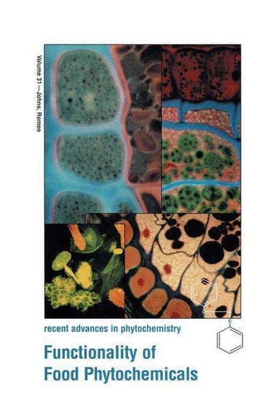 Cover for Timothy Johns · Functionality of Food Phytochemicals - Recent Advances in Phytochemistry (Paperback Book) [Softcover reprint of the original 1st ed. 1997 edition] (2012)