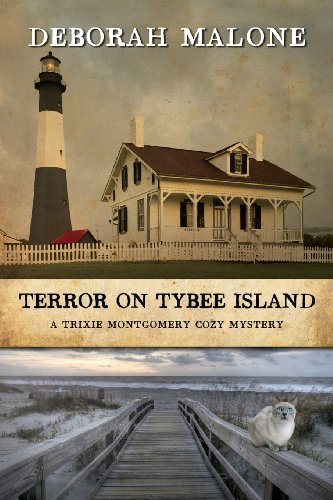 Cover for Deborah Malone · Terror on Tybee Island (Pocketbok) (2013)