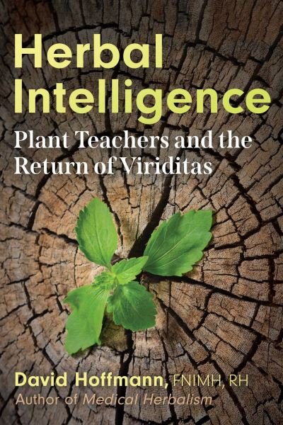 Herbal Intelligence: Plant Teachers and the Return of Viriditas - David Hoffmann - Bøker - Inner Traditions Bear and Company - 9781620556146 - 12. september 2024
