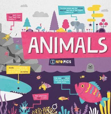 Cover for Harriet Brundle · Animals - InfoPics (Hardcover Book) (2019)