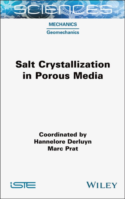 Cover for Salt Crystallization in Porous Media - ISTE Consignment (Gebundenes Buch) (2024)
