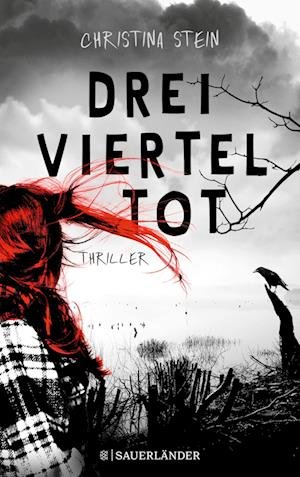 Cover for Christina Stein · Dreivierteltot (Paperback Book) (2022)