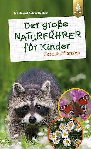 Cover for Hecker · Der große Naturführer für Kinder (Book)