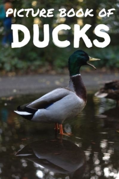 Cover for Relaxing Pictures · Picture book of ducks (Paperback Book) (2020)