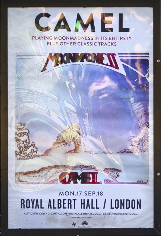 Cover for Camel · Camel at the Royal Albert Hall (MDVD) (2020)