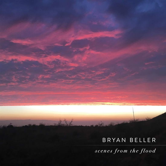 Cover for Bryan Beller · Scenes from the Flood (LP) (2025)