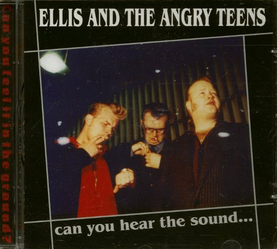 Cover for Ellis &amp; Angry Teens · Can You Hear The Sound (CD) (2002)