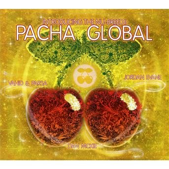 Cover for Pacha Global 2011 / Various (CD) (2011)