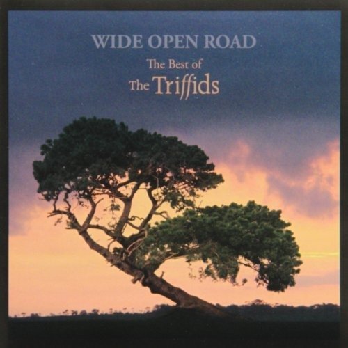 Wide Open Road: Best of the Tr - Triffids - Musiikki - Liberation - 9341004007147 - perjantai 16. huhtikuuta 2010