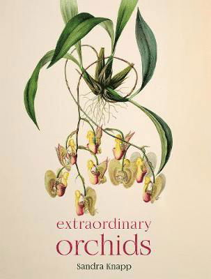 Cover for Sandra Knapp · Extraordinary Orchids (Hardcover Book) (2021)