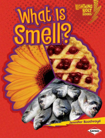 Cover for Jennifer Boothroyd · What is Smell? - Lightning Bolt Books: Your Amazing Body (Paperback Book) (2010)