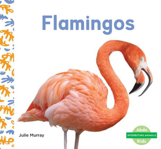 Cover for Julie Murray · Flamingos (Book) (2022)