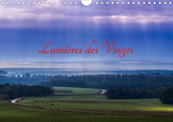 Cover for Leroy · Lumières des Vosges (Calendrier m (Book)