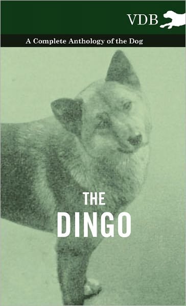 Cover for The Dingo - a Complete Anthology of the Dog - (Innbunden bok) (2010)