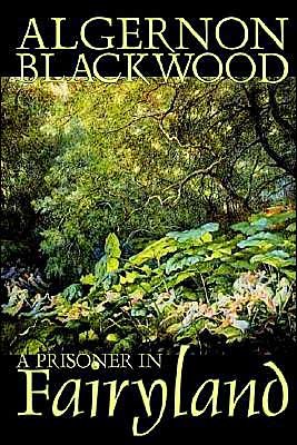 A Prisoner in Fairyland - Algernon Blackwood - Books - Wildside Press - 9781592245147 - September 1, 2003
