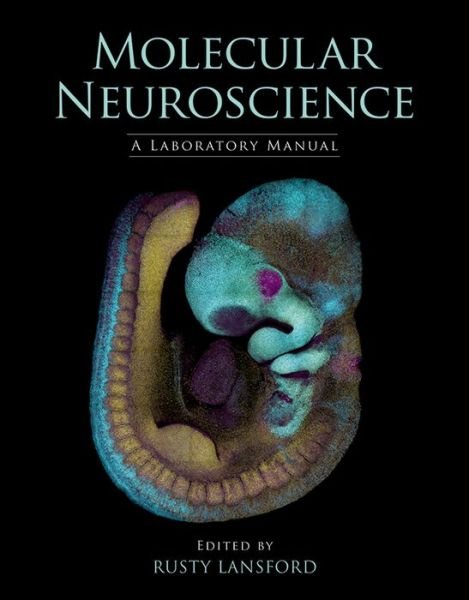 Cover for Rusty Lansford · Molecular Neuroscience: A Laboratory Manual (Paperback Book) (2014)