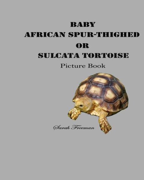 Cover for Sarah Freeman · Baby African Spur-Thighed or Sulcata Tortoise Picture Book (Book) (2019)