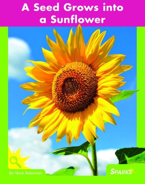 Seed Grows into a Sunflower - Nick Rebman - Books - RiverStream Publishing - 9781683200147 - July 15, 2016