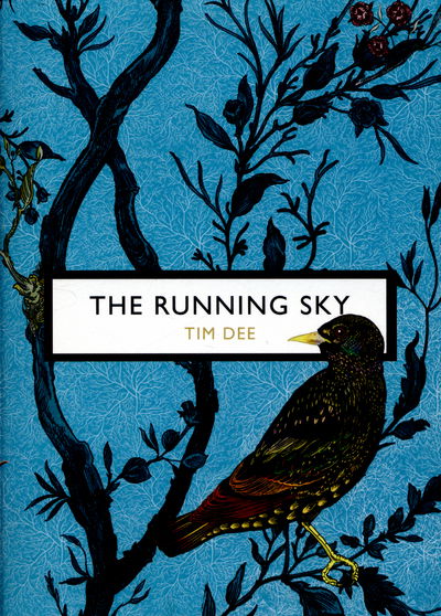 Cover for Tim Dee · The Running Sky (The Birds and the Bees): A Bird-Watching Life - Vintage Classic Birds and Bees Series (Paperback Book) (2016)