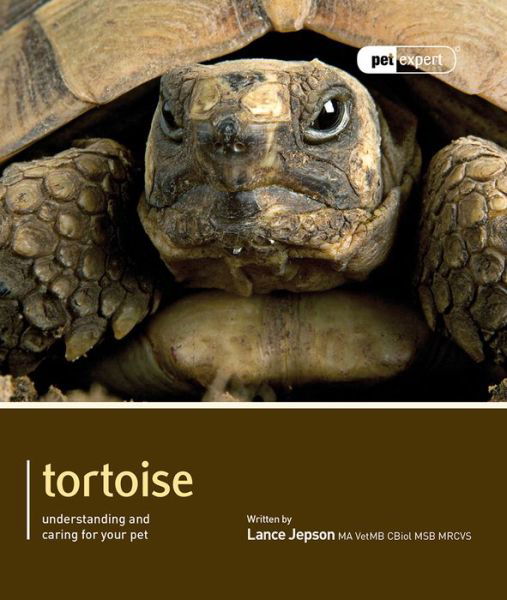 Cover for Lance Jepson · Tortoise - Pet Expert: Understanding and Caring for Your Pet - Pet Expert (Paperback Book) (2011)