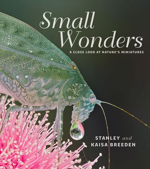 Small Wonders - Stanley Breeden - Kirjat - Fremantle Press - 9781925160147 - keskiviikko 22. lokakuuta 2014